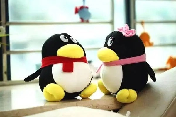 怎样才能获得免费的6位数QQ号？